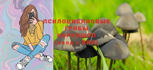 спайс Дмитров