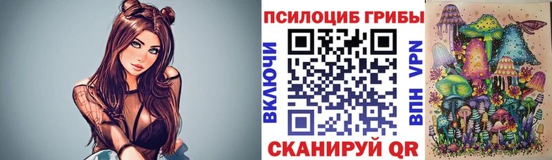 купить цена Перевоз Галлюциногенные грибы прущие грибы